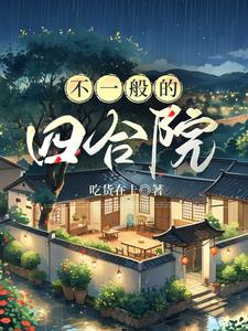不一般的四合院不一般的四合院